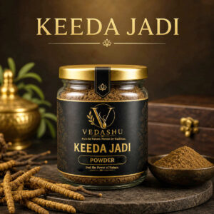 Vedashu Keeda Jadi Powder 100g +20g extra – Natural Cordyceps for Stamina and Energy
